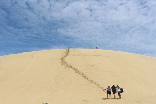 sand dune te paki new zealand