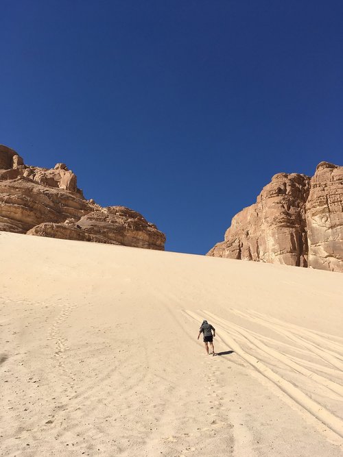 sand dune  desert  sinai