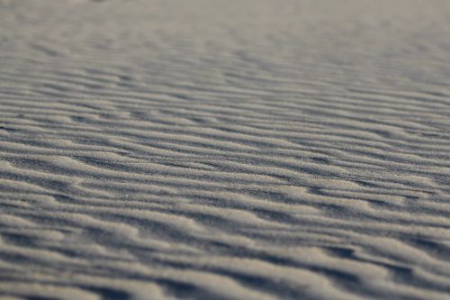 sand dune wind texture