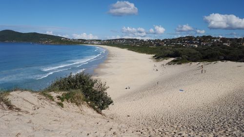 sand dunes beach ocean