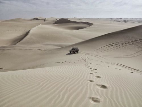 sand dunes desert sahara