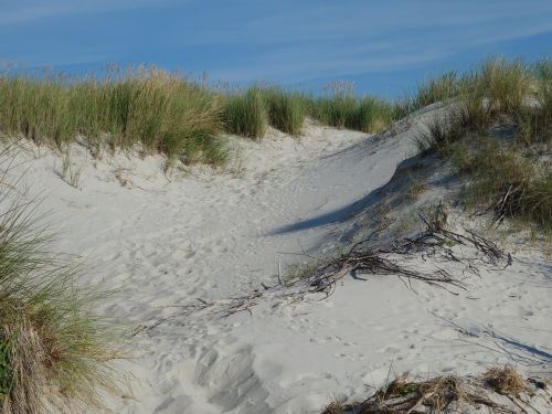 sand dunes dune sand