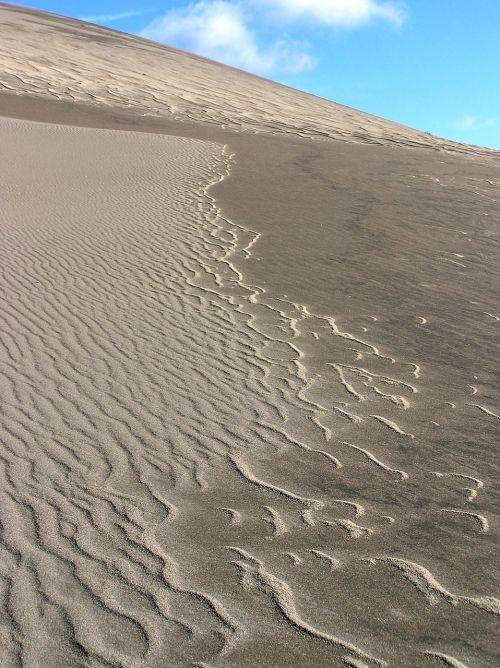 sand dunes park national