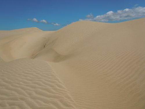 sand dunes sand desert