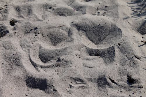 Sand Nature