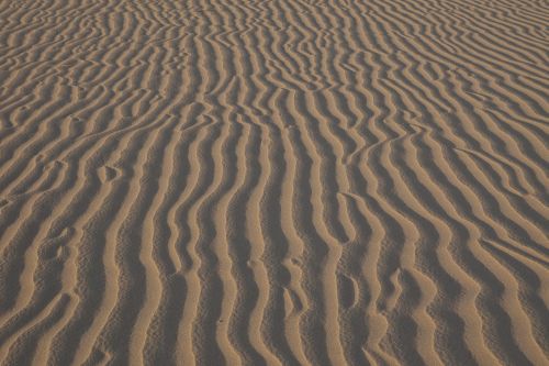sand ripples wind wilderness