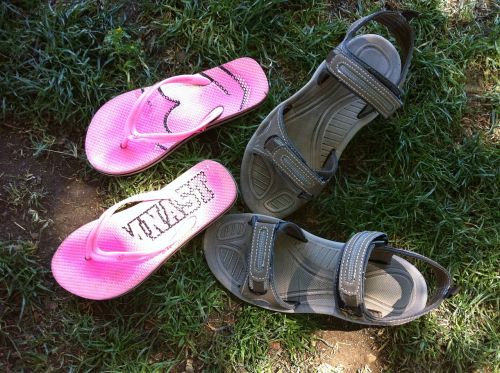 sandals flip flops shoes