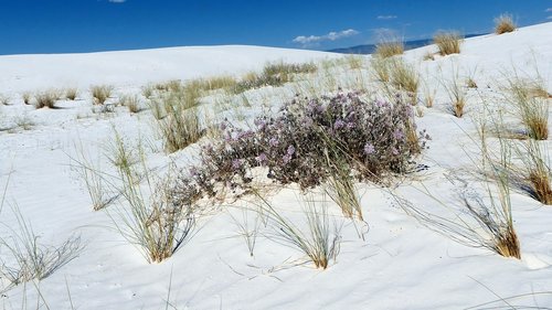 sands  dunes  gypsum