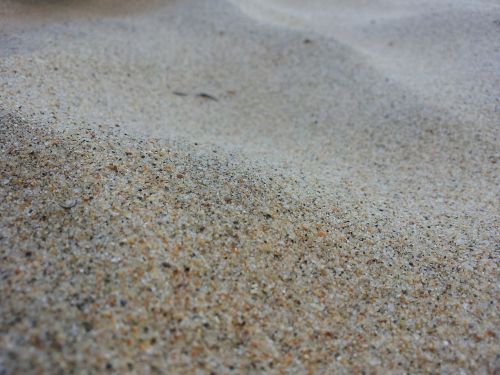 sands beach shore