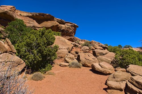 sandstone along grand view trail  desert  rock