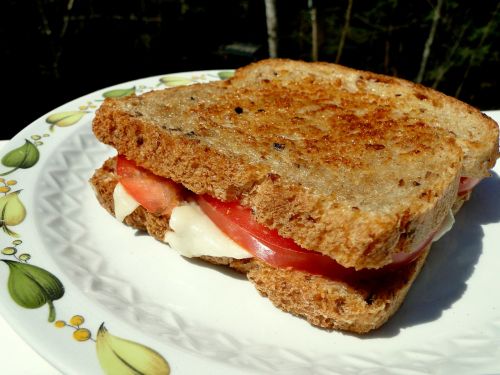 sandwich lunch grilled cheese