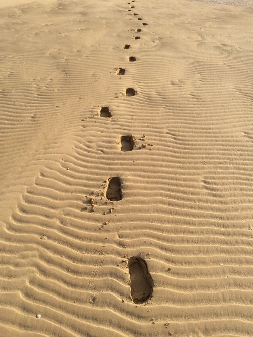 sandy footprints sand