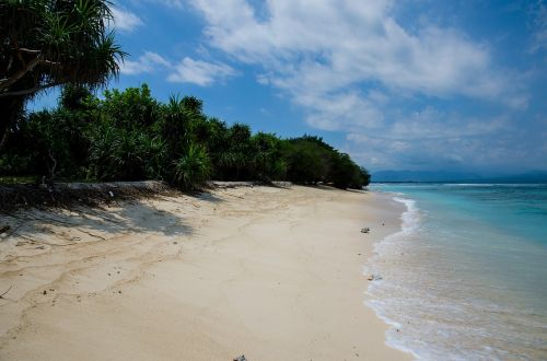 sandy beach seaside shore