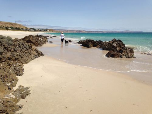 sandy beach seaside blue sky