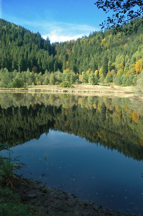 sankenbachsee lake waldsee