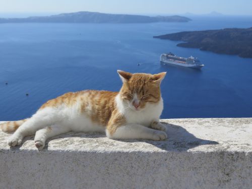santorini cat cruise