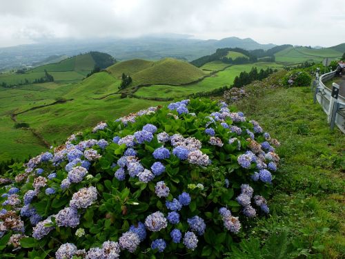 sao miguel portugal