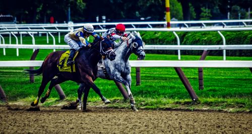 saratoga springs new york horses