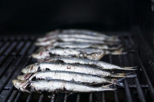 sardines  seafood  grilling