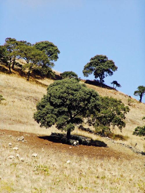 sardinia mountains italy