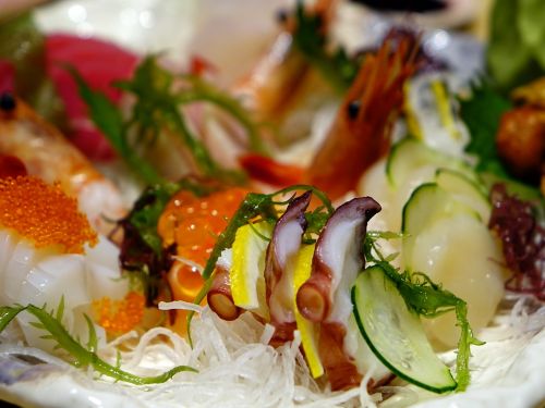 sashimi salmon fish food