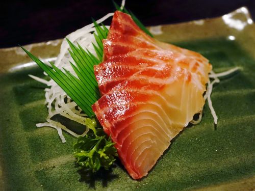 sashimi fish food