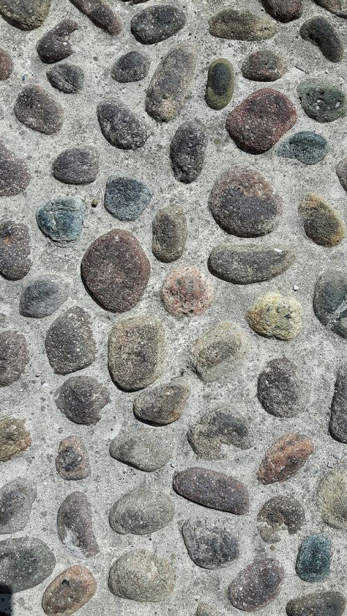 sassi fossils rocks