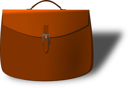 satchel purse bag