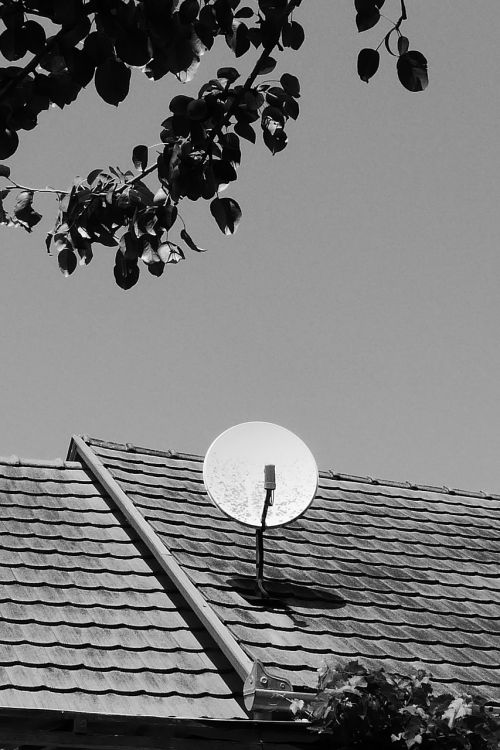 satellite dish tv watch tv