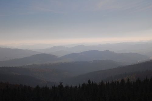 sauerland forest germany