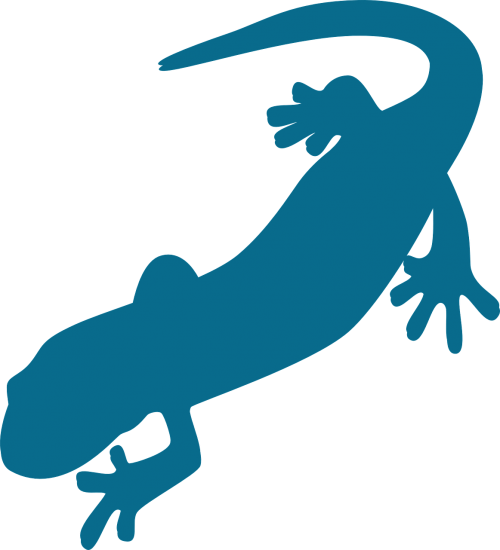 saurian amphibian salamander