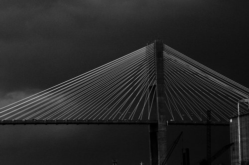 savannah  bridge  architecture