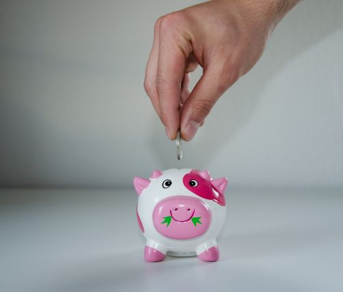 save piggy bank money
