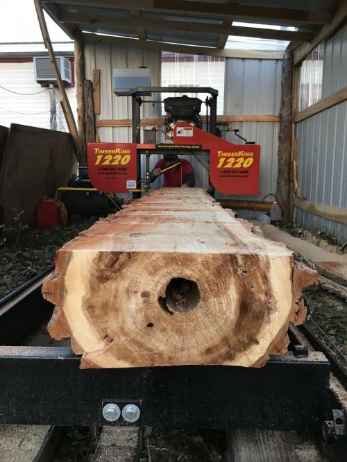 sawmill log wood cutting