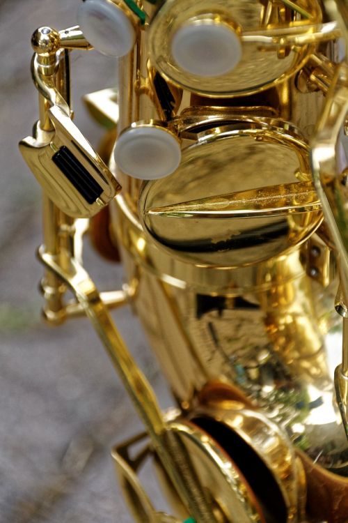 saxophone instrument musical instrument