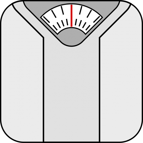 scale machine weight