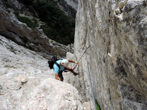 scale rock climber