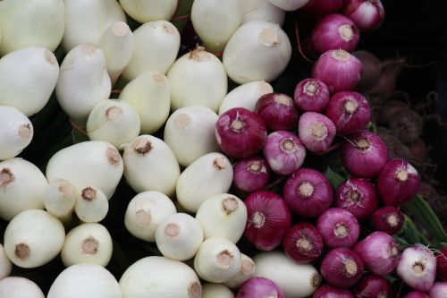 scallions white onion onion