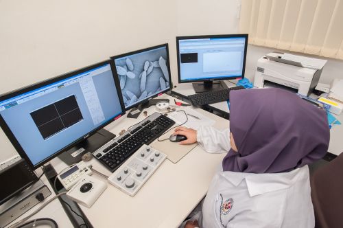 scanning electron microscope universiti malaysia sabah biotechnology research institute