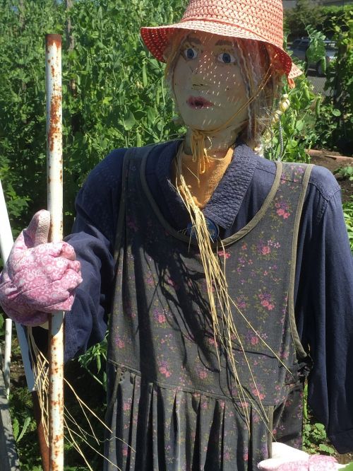 scarecrow garden gardening