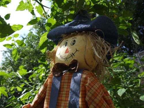 scarecrow garden farm