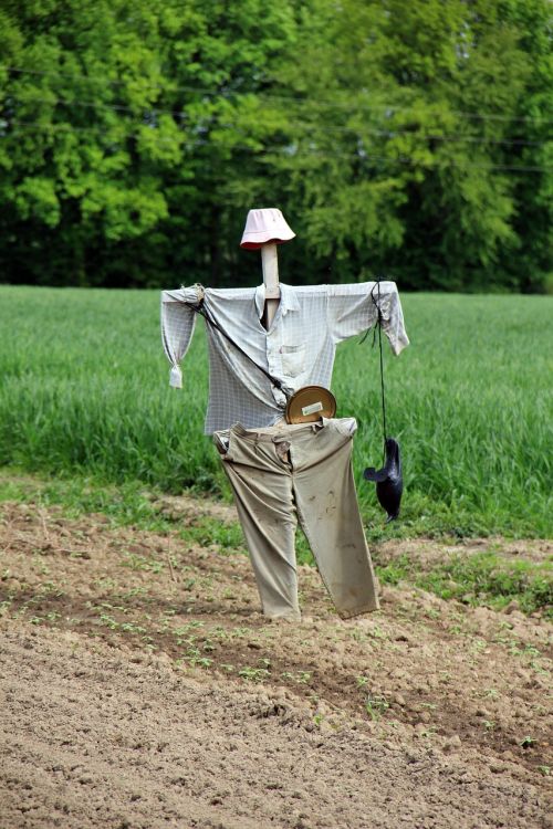 scarecrow agriculture country life