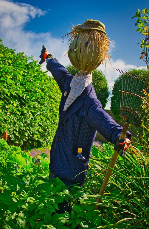 scarecrow  garden  doll