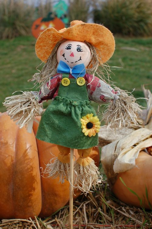 scarecrow pumpkins halloween