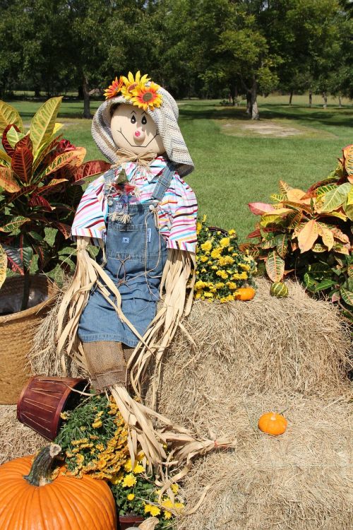 scarecrow pumpkins gourds