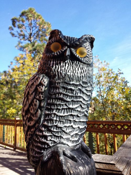 scarecrow owl sculpture