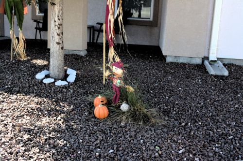 Scarecrow Pumpkin Autumn Fall Art