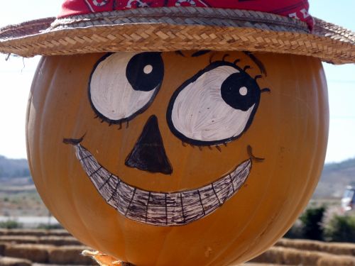 Scarecrow Pumpkin Head