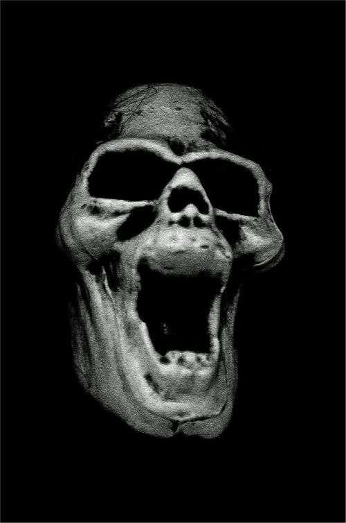 Scary Skull