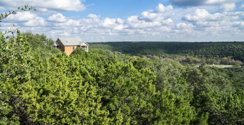 scenic treetops landscape